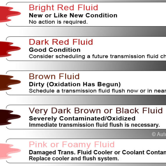 What Color is Transmission Fluid