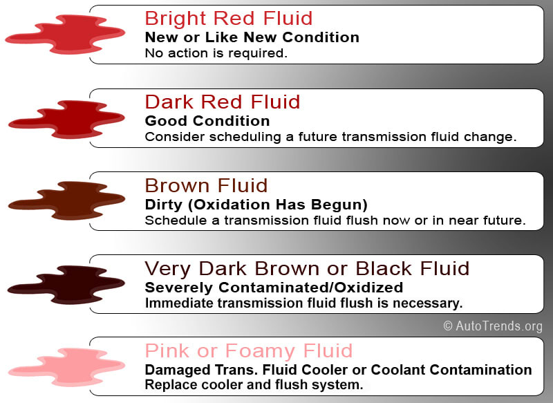 What Color is Transmission Fluid